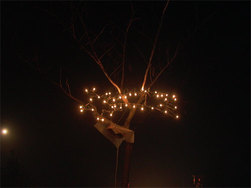 slideshow image